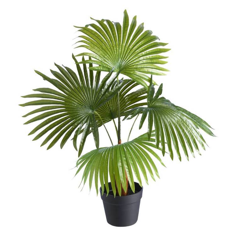 Botanica Artificial Palm Potted Plant