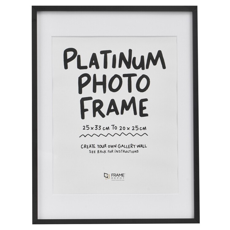 Frame Depot Platinum Frames