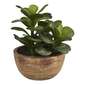 Living Space Eves Pin Succulent Pot Green 12 x 18 cm