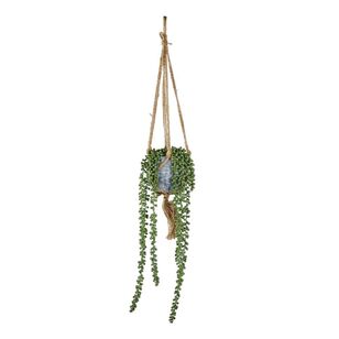 Living Space String of Pearls In Hanging Cement Pot Green 17 x 90 cm