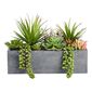 Living Space Mixed Rectangle Planter Green 35 x 17 cm