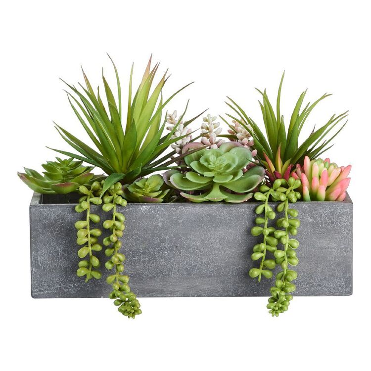 Living Space Mixed Rectangle Planter