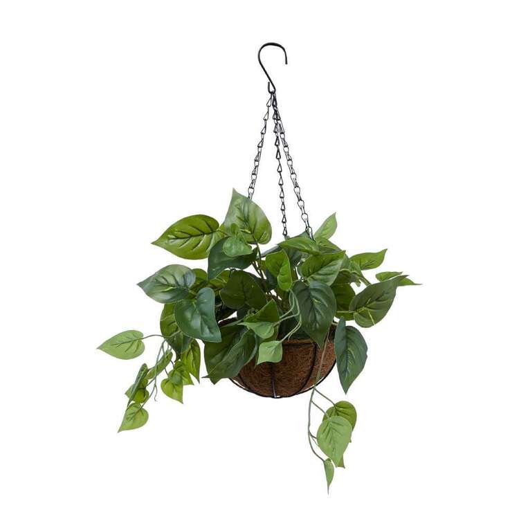 Living Space Hanging Ivy Plant With Palm Bowl Green 15 x 19.5 cm