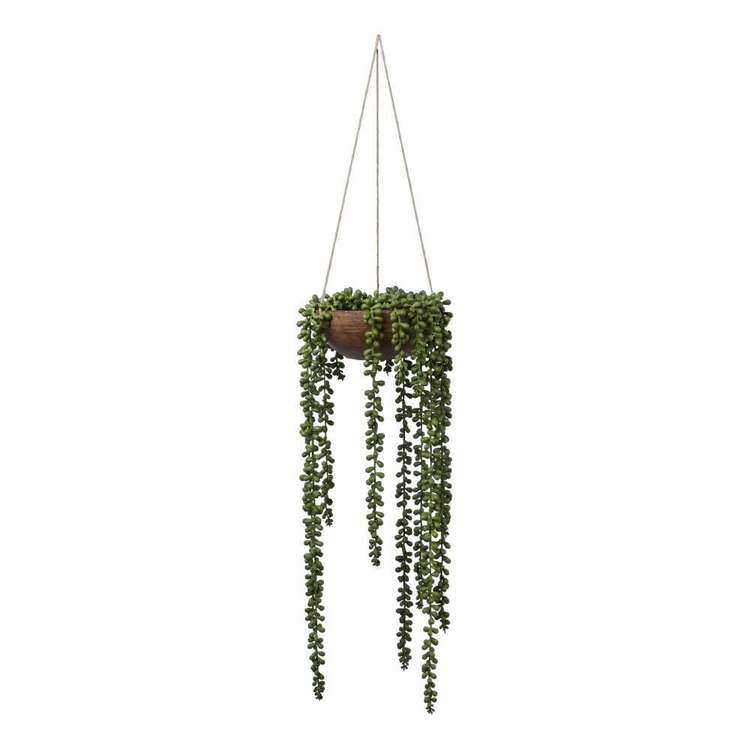 Living Space Hanging Beans In Palm Bowl Green 7 x 36 cm