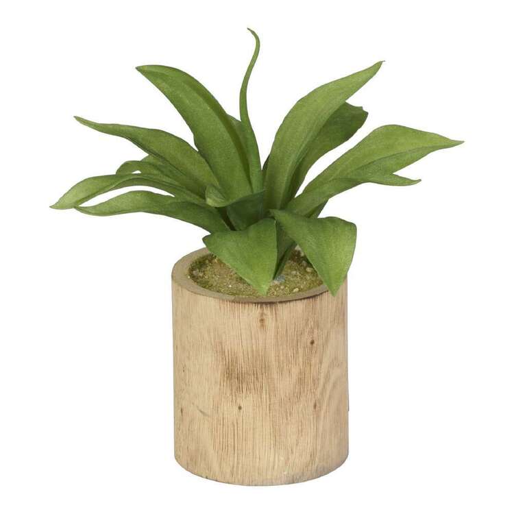Living Space Flocking Agave Wood Pot Green & Brown 20 x 21 cm