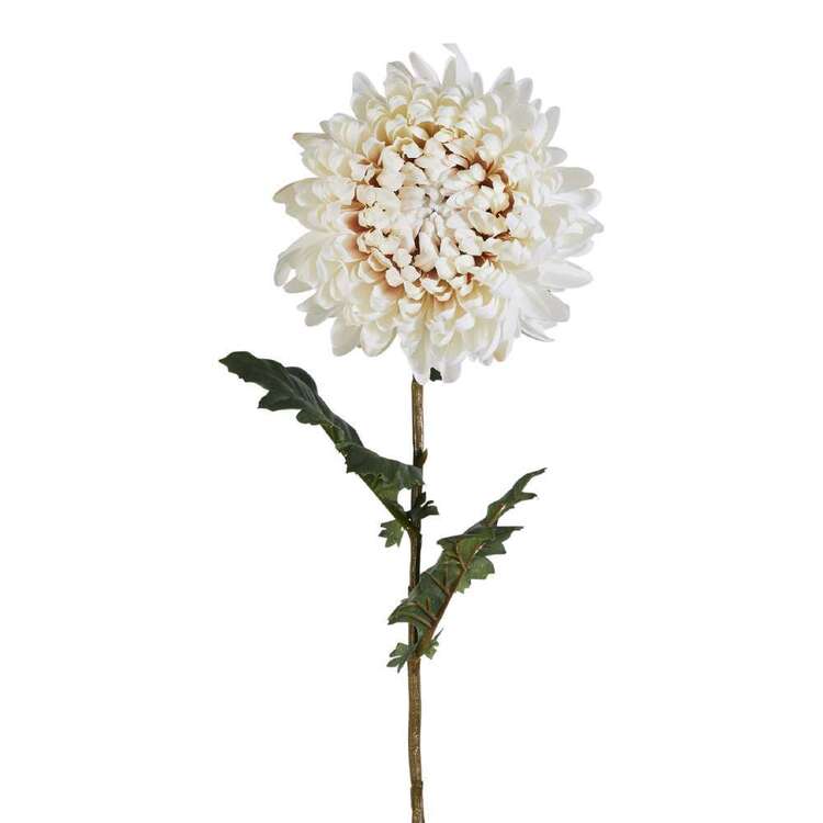 75 cm Chrysanthemum Floral Stem Cream 75 cm