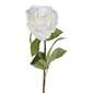 50 cm Single Rose Stem Cream 50 cm