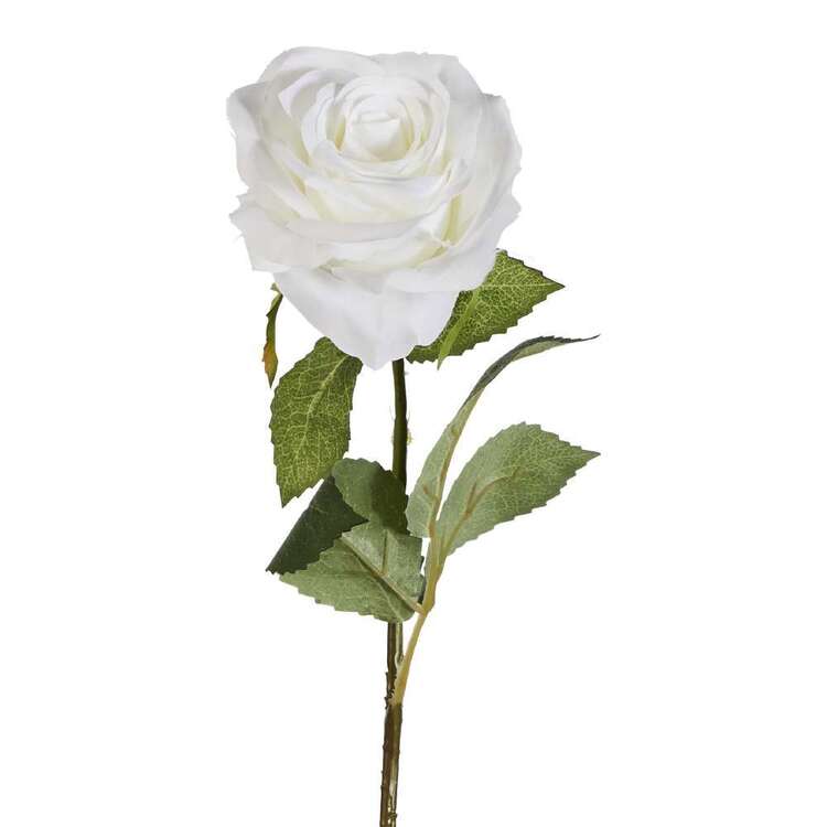 50 cm Single Rose Stem