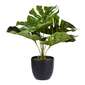 Living Space Monstera In Pot Green 30.5 x 32.5 cm