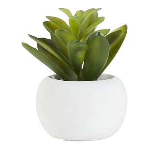 KOO Succulent In White Pot #1 Green 9 x 9 cm