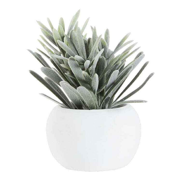 KOO Succulent In White Pot #4 Green 9 x 11 cm