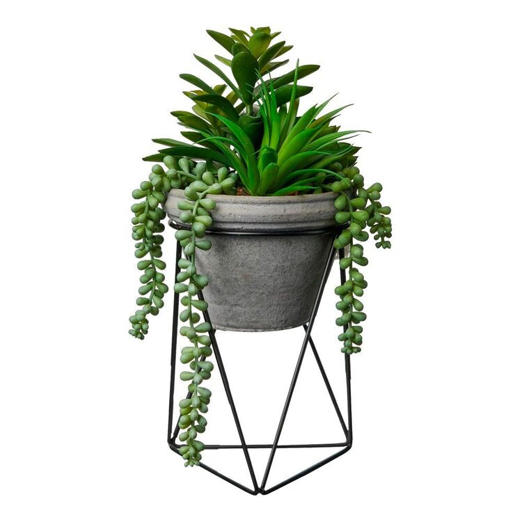 Mixed Succulents In Pot With Stand Green 18 x 35 cm