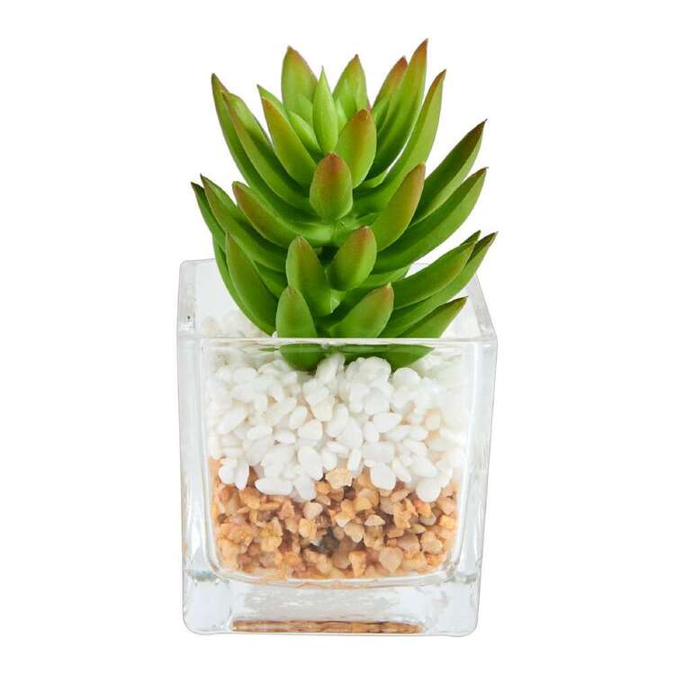 Succulent In Glass Vase #3 Green 24 x 13 cm