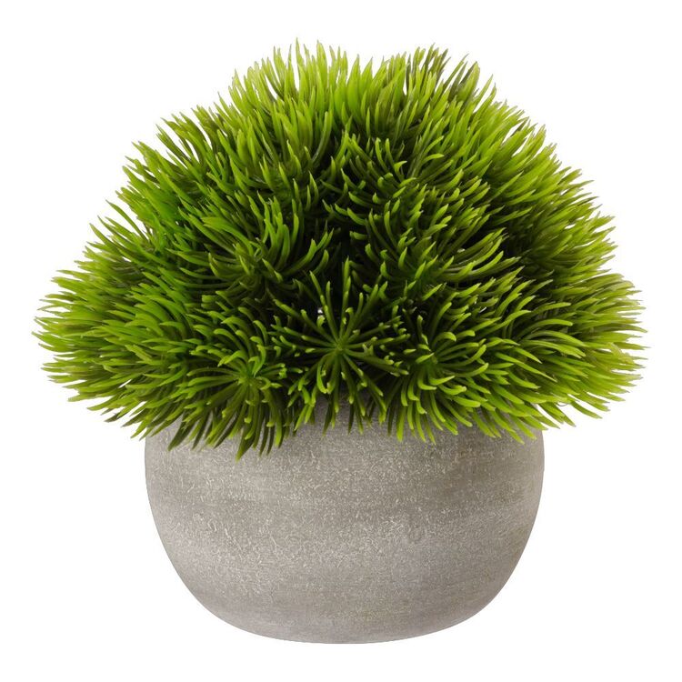 KOO Small Potted Hedge #2 Green 12.7 x 12 cm