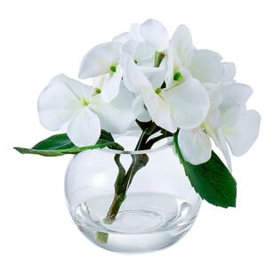 Rogue White Hydrangea Sphere Vase White & Glass
