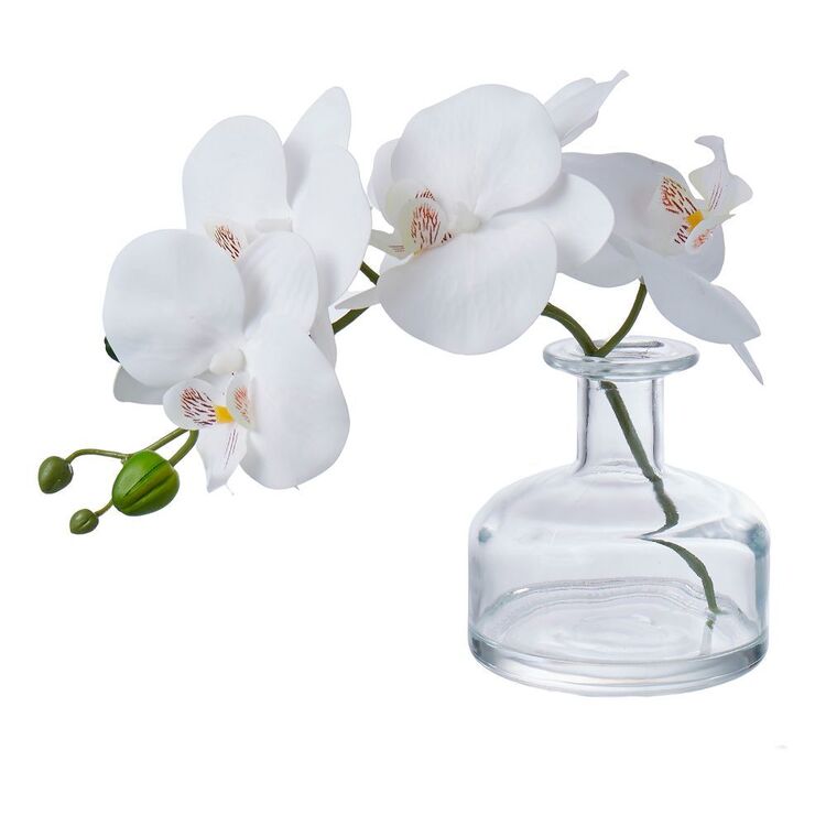 Rogue Phalaenopsis-Glass Vase White 22 x 10 x 8 cm
