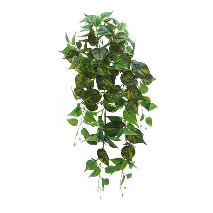 Rogue Pothos Hanging Garden Pot Green 40 x 40 x 80 cm
