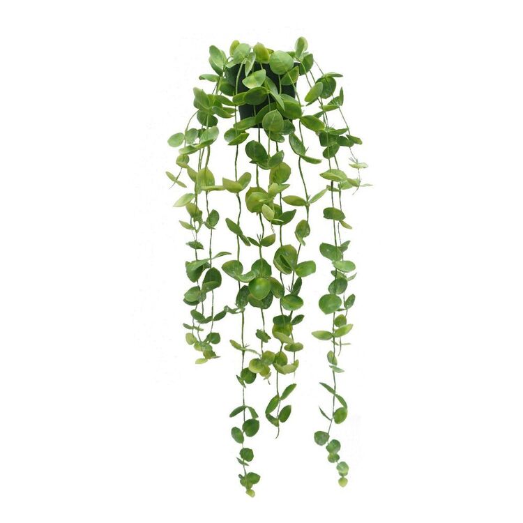 Rogue Leaf Hanging-Garden Pot Green 30 x 30 x 90 cm