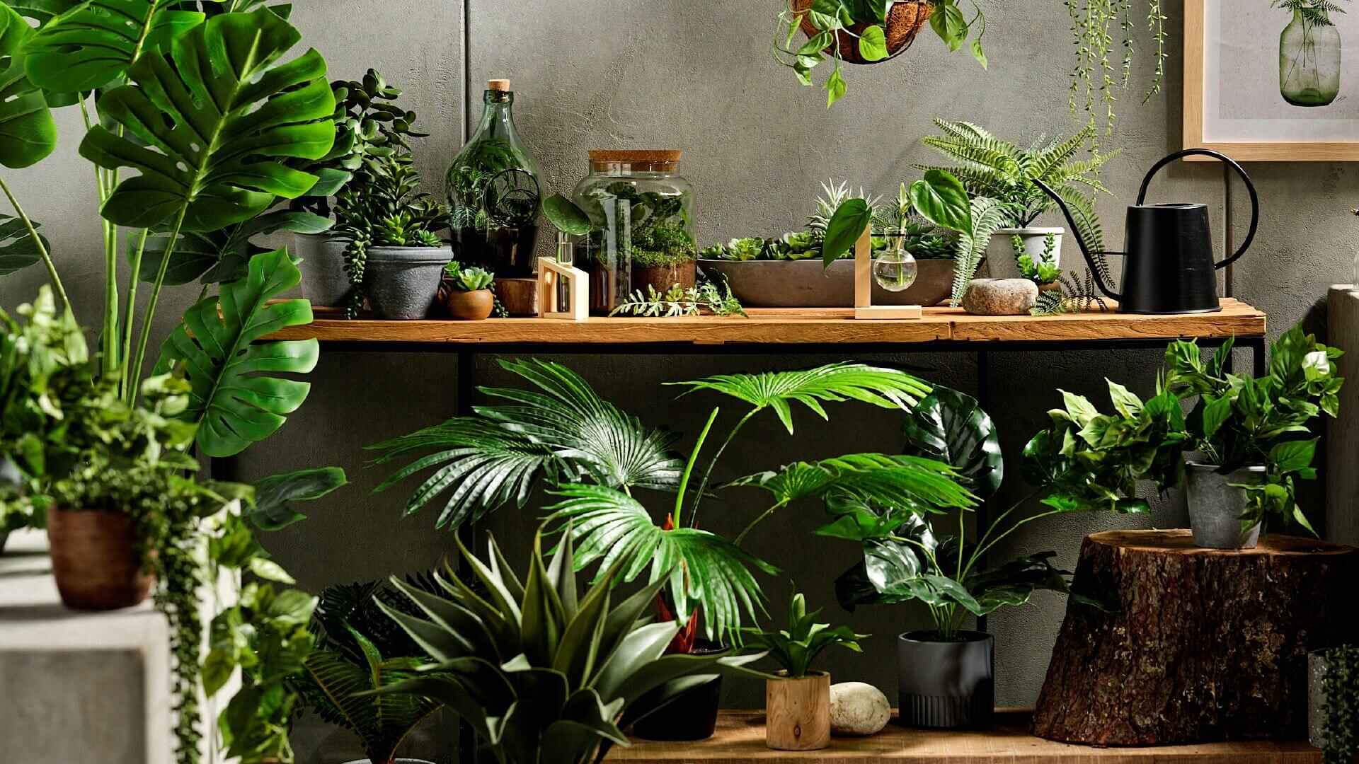 https://www.koohomestore.com/medias/five-ways-to-style-artificial-plants-1.jpg?context=bWFzdGVyfHJvb3R8MjEwMTkyfGltYWdlL2pwZWd8cm9vdC9oODMvaDFkLzE2OTE2ODM2NjE0MTc0L2ZpdmUtd2F5cy10by1zdHlsZS1hcnRpZmljaWFsLXBsYW50cy0xLmpwZ3w2MGIzZWRhODFlMjUwMTk3MGY2NGMyYjJjNmRiMWU0MDM4YzdlZTc2NjdjOWQ4ZTkzMGY1M2RlMjNlZTBjZjBk